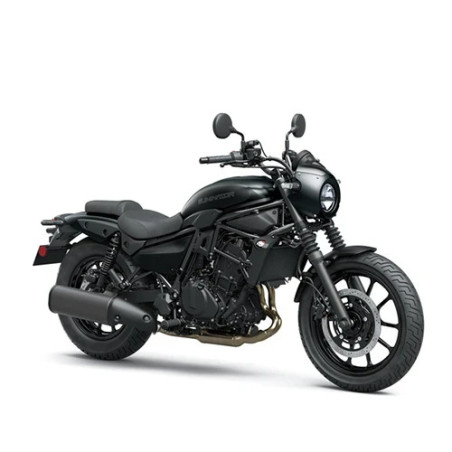 Eliminator 500 SE