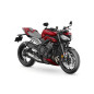 STREET TRIPLE 765 RS