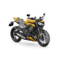 STREET TRIPLE 765 RS