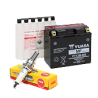 Sistem Electric
